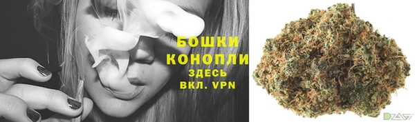 дурь Верея