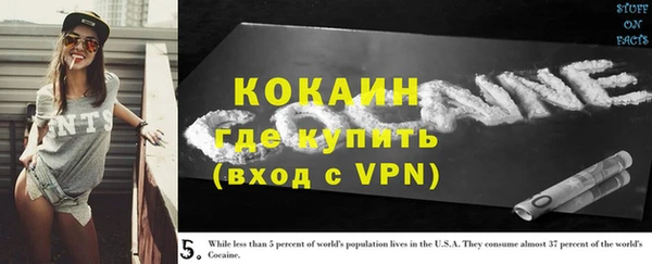соль ск Верхний Тагил
