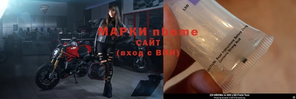 прущие грибы Бугульма