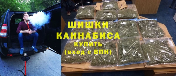 прущие грибы Бугульма