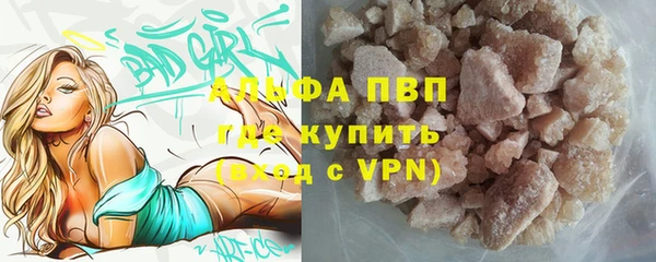 прущие грибы Бугульма