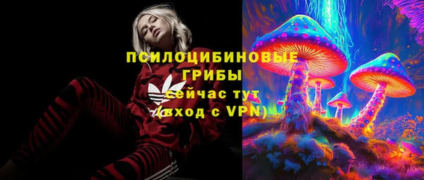 прущие грибы Бугульма