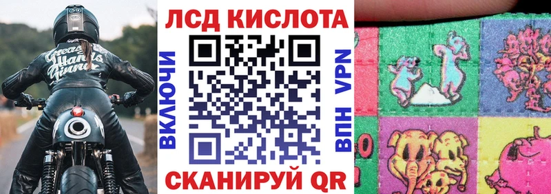 дарнет шоп  Кашира  Марки 25I-NBOMe 1,8мг 